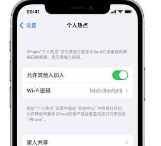 新田apple服务站点分享iPhone上个人热点丢失了怎么办