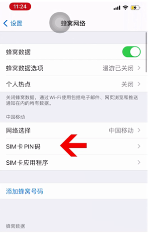 新田苹果14维修网分享如何给iPhone14的SIM卡设置密码 