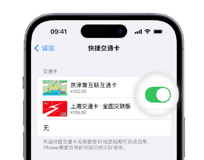 新田apple维修点分享iPhone上更换Apple Pay快捷交通卡手绘卡面 