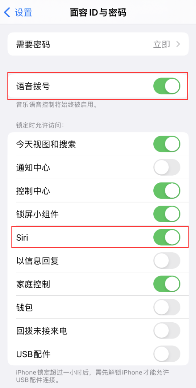 新田苹果维修网点分享不解锁 iPhone 的情况下通过 Siri 拨打电话的方法 