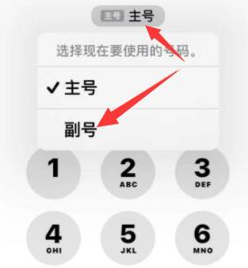 新田苹果14维修店分享iPhone 14 Pro Max使用副卡打电话的方法 