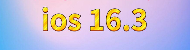 新田苹果服务网点分享苹果iOS16.3升级反馈汇总 