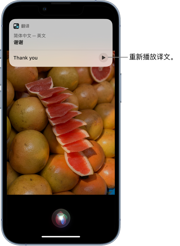 新田苹果14维修分享 iPhone 14 机型中使用 Siri：了解 Siri 能帮你做什么 