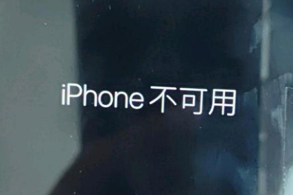 新田苹果服务网点分享锁屏界面显示“iPhone 不可用”如何解决 