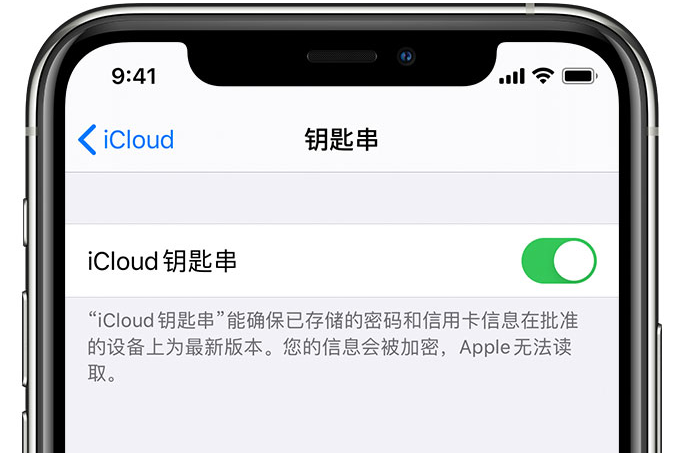 新田苹果手机维修分享在 iPhone 上开启 iCloud 钥匙串之后会储存哪些信息 