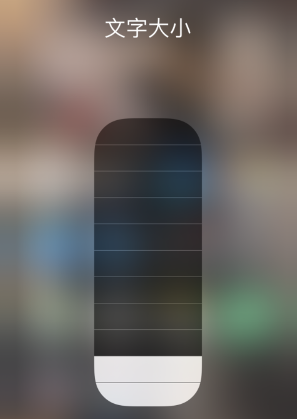 新田苹果手机维修分享小技巧：在 iPhone 控制中心快速调节字体大小 